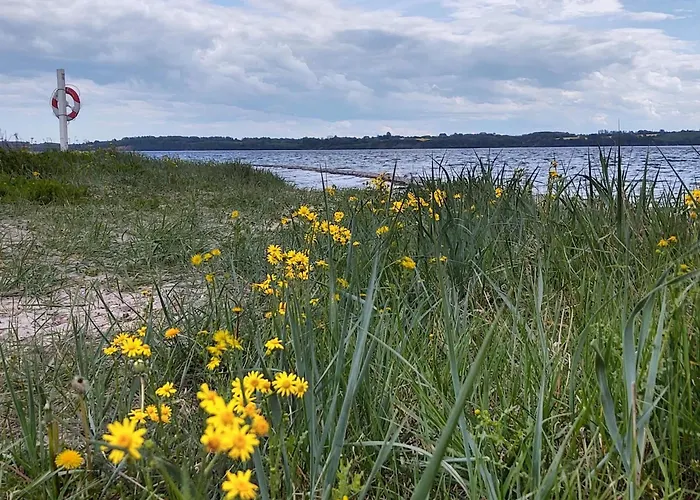 8 Person In Aabenraa-by Traum *